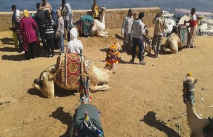 Private Half Day in Aswan (St. Simeon Monastery - Camel ride tour- Nubian Village)