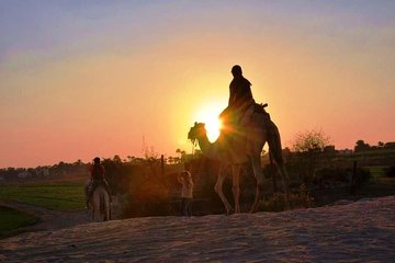 Camel, Horse, or Donkey Ride at Luxor West Bank