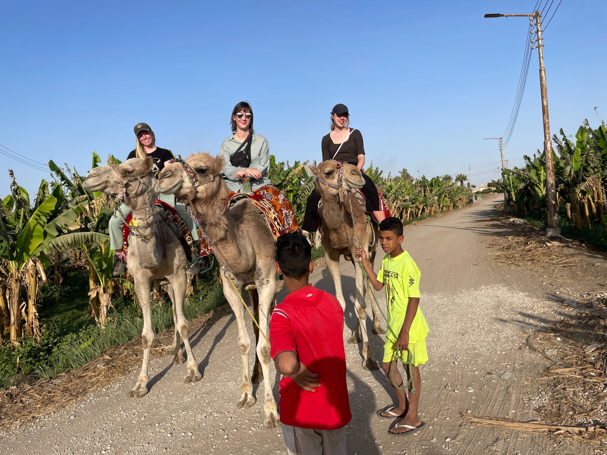 Camel, Horse, or Donkey Ride at Luxor West Bank