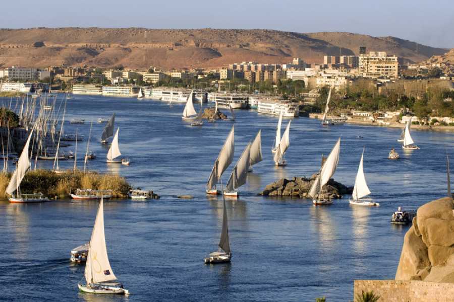 Felucca Ride at Aswan to Botanical Garden (Kitchener Island)