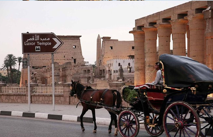 Horse Carriage Ride at Luxor City