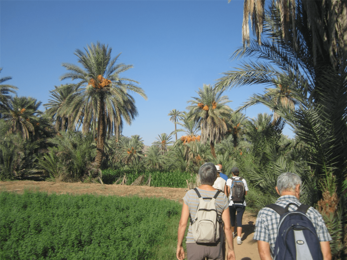 Tiout & Taroudant