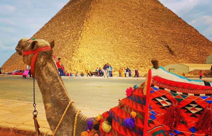 Enjoy the history at The Pyramids and the Grand Museum