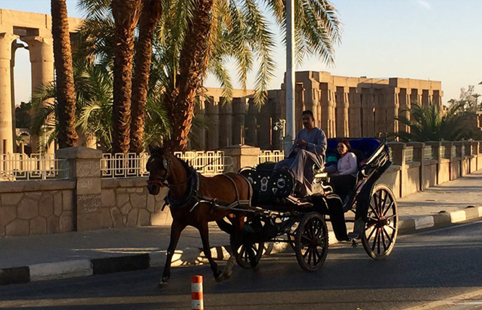 Horse Carriage Ride at Luxor City