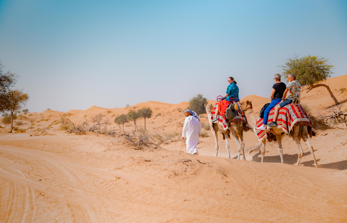 Camel Ride Safari