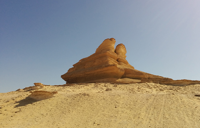 El Fayoum Oasis Day Tour