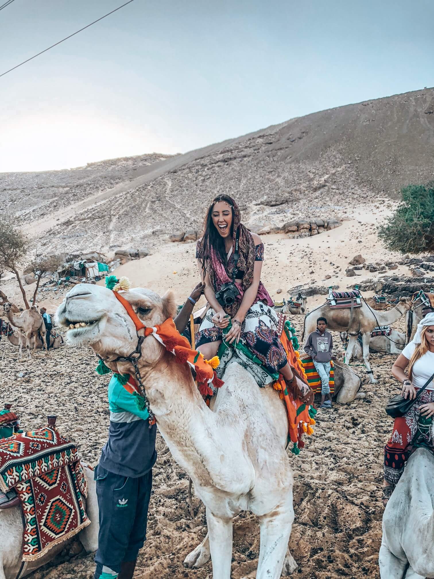 Aswan Camel Ride at Westbank photo