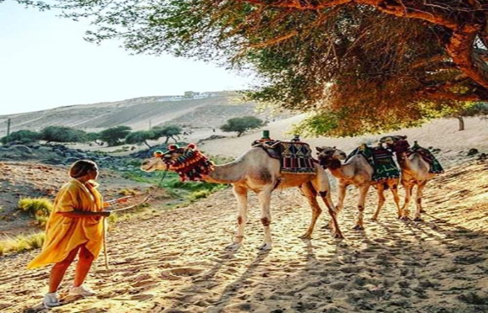 Private Half-Day Trip in Aswan ( Nubian Village & Camel ride)