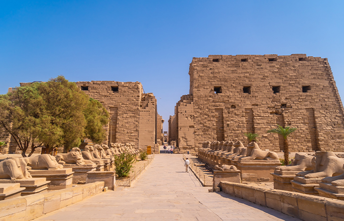 Half Day Trip to East Bank of Egypt (Luxor Temple - Karnak Temple)