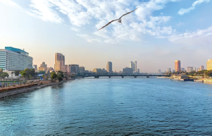 Dinner in Cairo on Nile Crystal Cruise