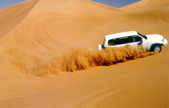 Dune Dinner Safari