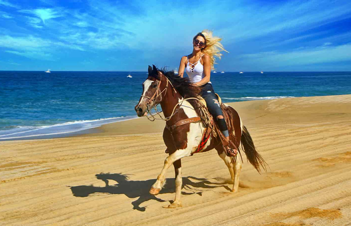 Horse-Riding Hurghada Tour