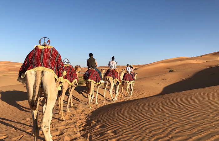 Camel Ride Safari