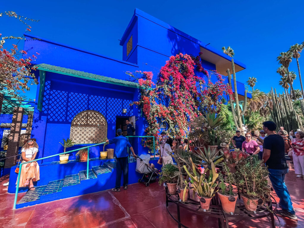 Majorelle Garden: A Journey Through Color and Serenity