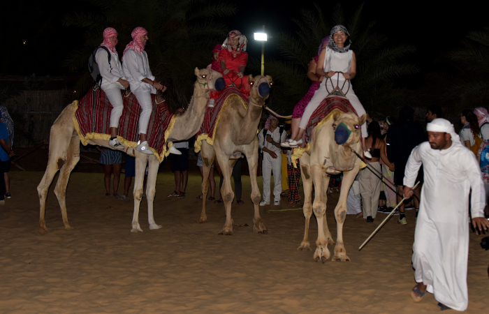 Dune Dinner Safari