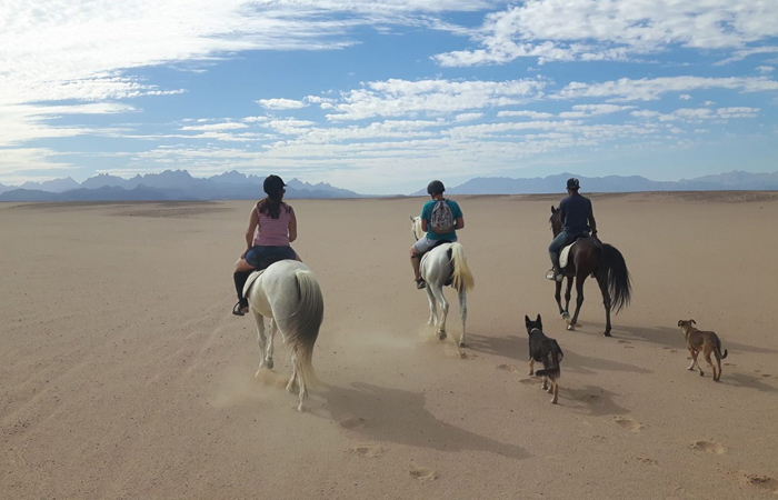 Horse-Riding Hurghada Tour