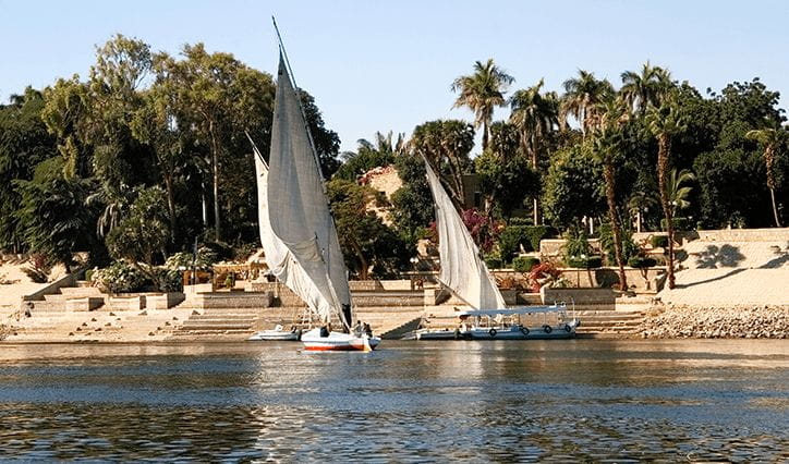 Felucca Ride at Aswan to Botanical Garden (Kitchener Island)