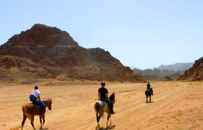 Horse-Riding Hurghada Tour