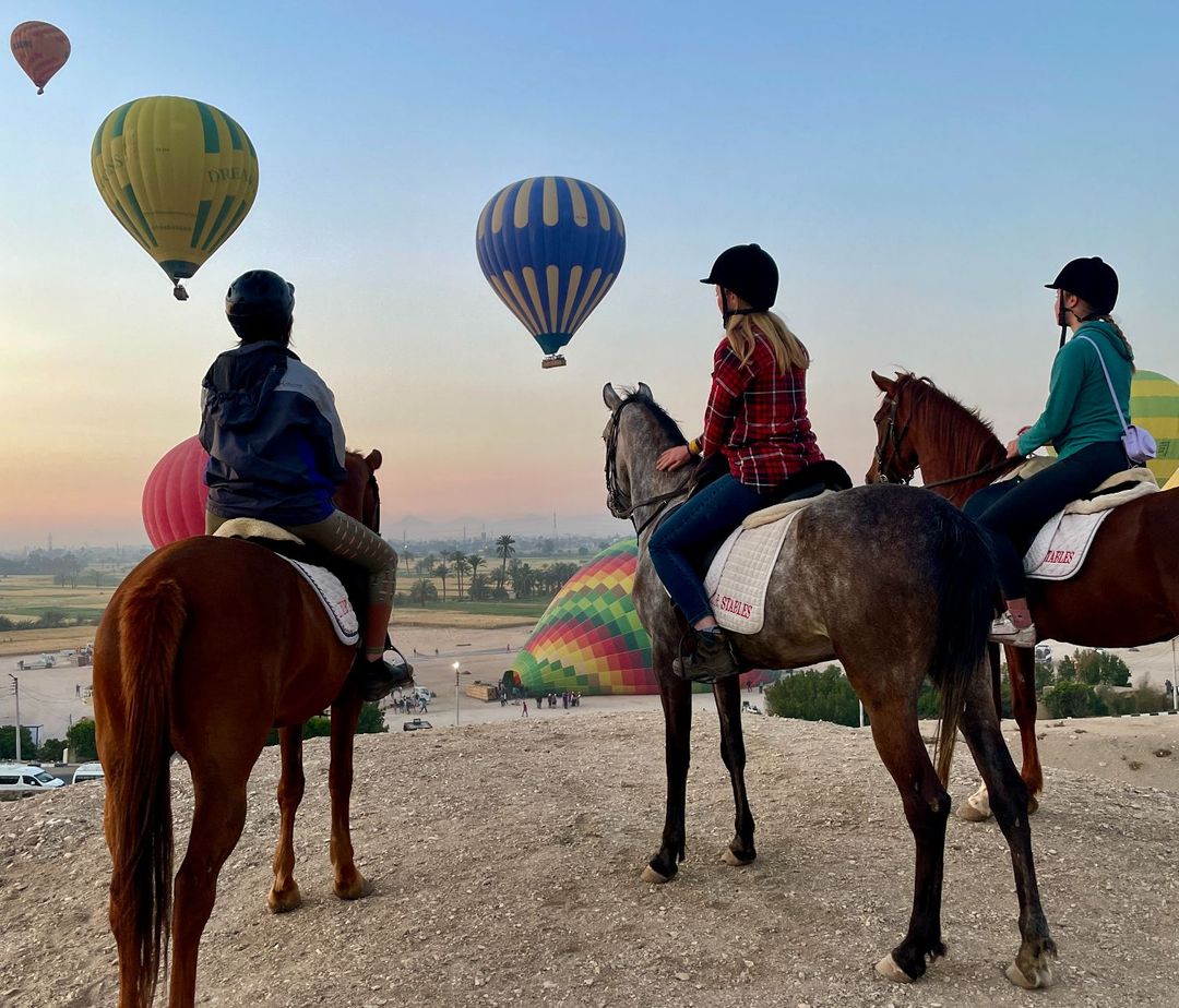 Camel, Horse, or Donkey Ride at Luxor West Bank