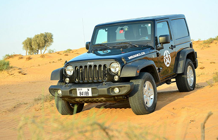 Private Wrangler Self-drive Safari