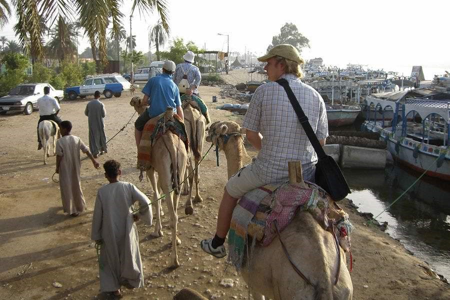 Camel, Horse, or Donkey Ride at Luxor West Bank