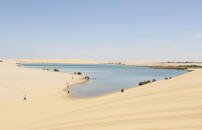 El Fayoum Oasis Day Tour