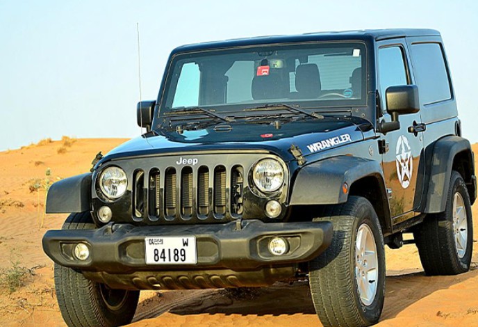 Safari privato con guida autonoma Wrangler