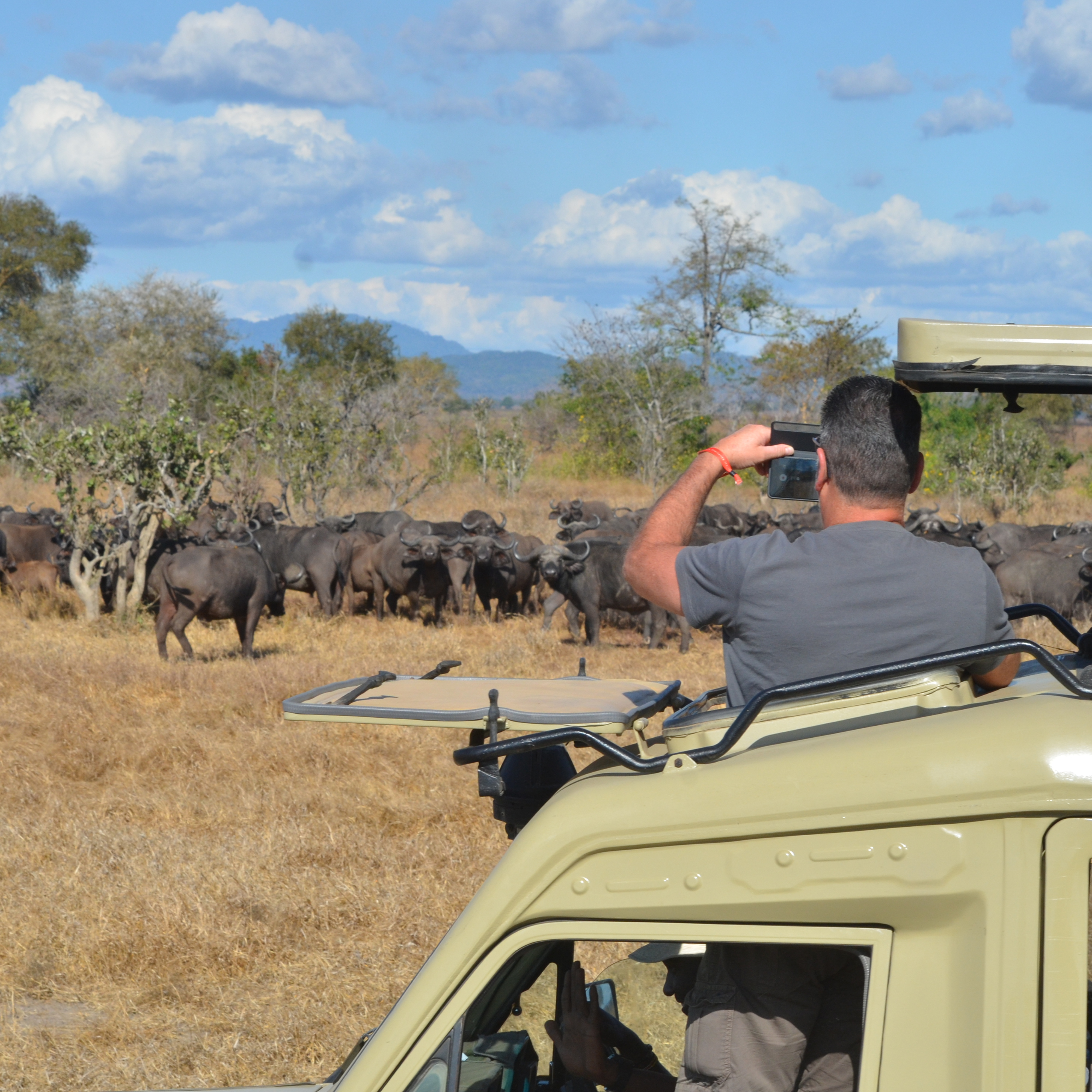 Day Safari to Mikumi National Park from Zanzibar