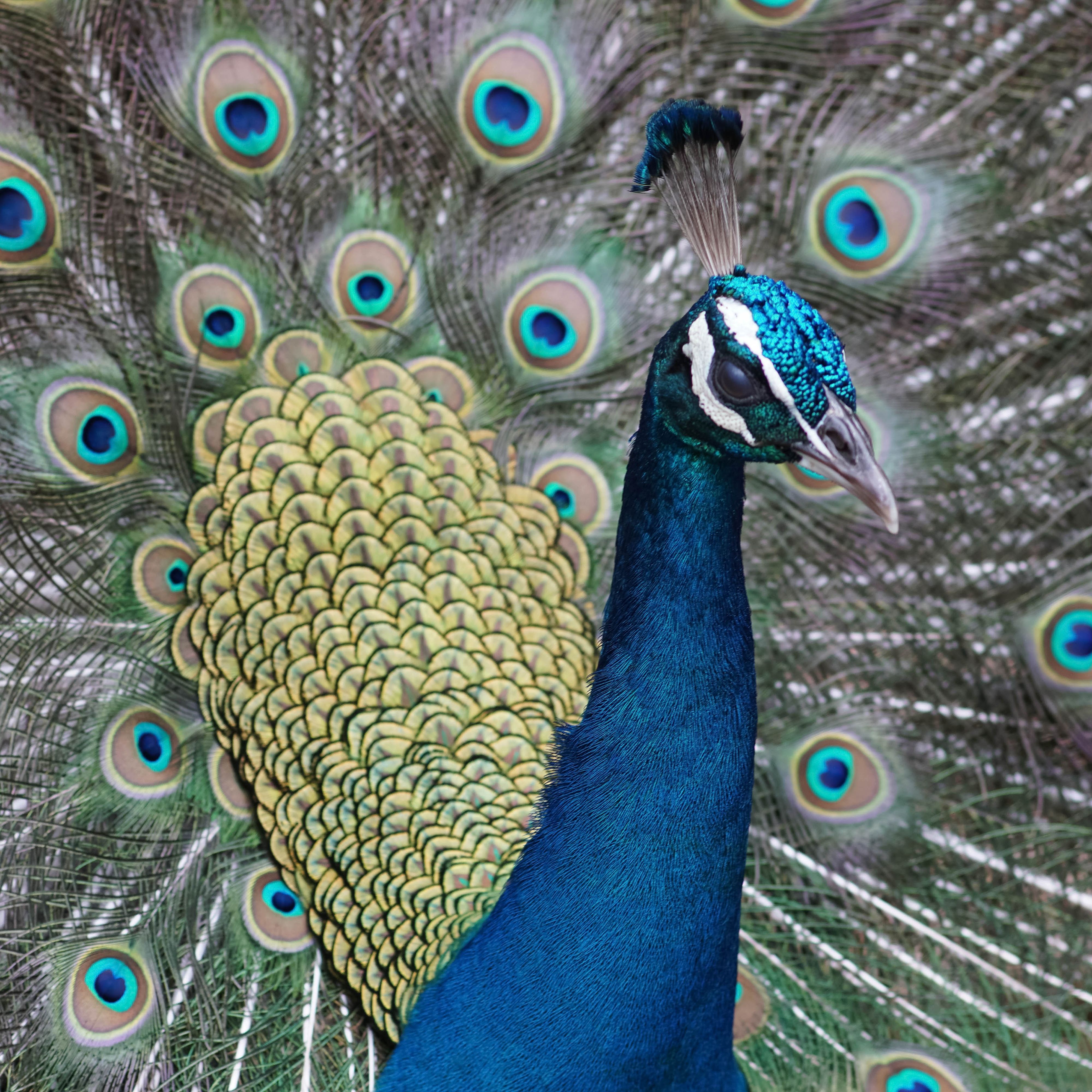 Jozani Forest and Prison Park